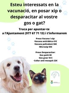 Vacunacions gossos i gats